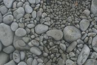 
DSC00195